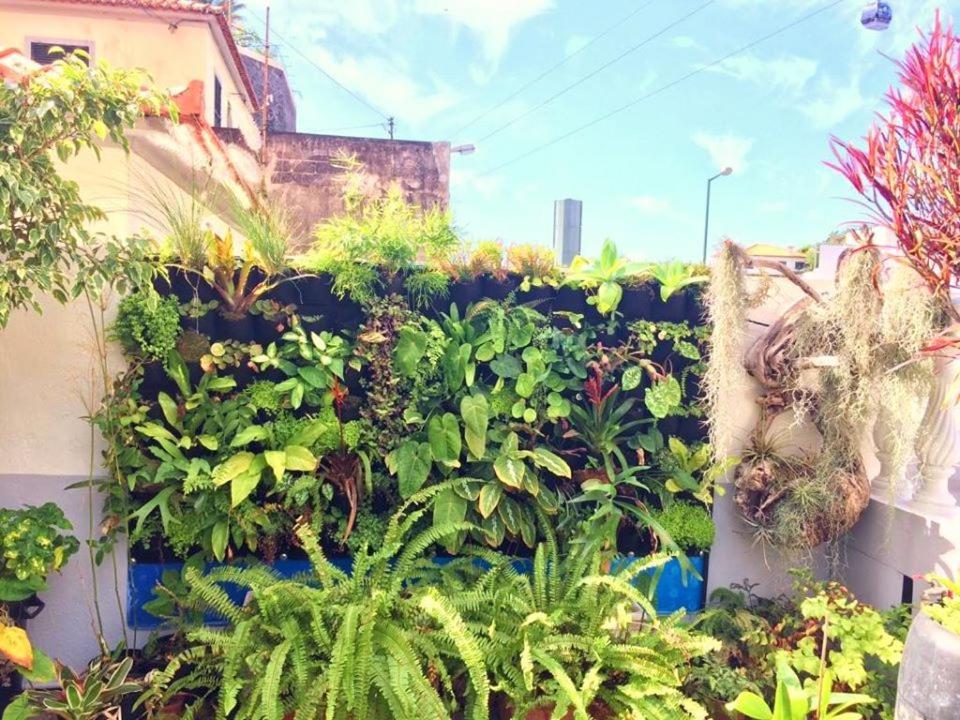Home & Flower 3 Φουνκάλ Εξωτερικό φωτογραφία